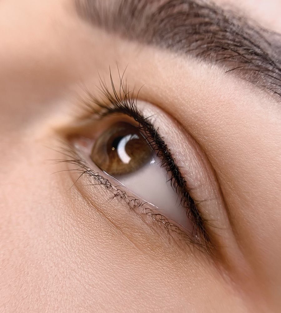 healed microblading brows — natural permanent makeup results serving Arlington Heights IL